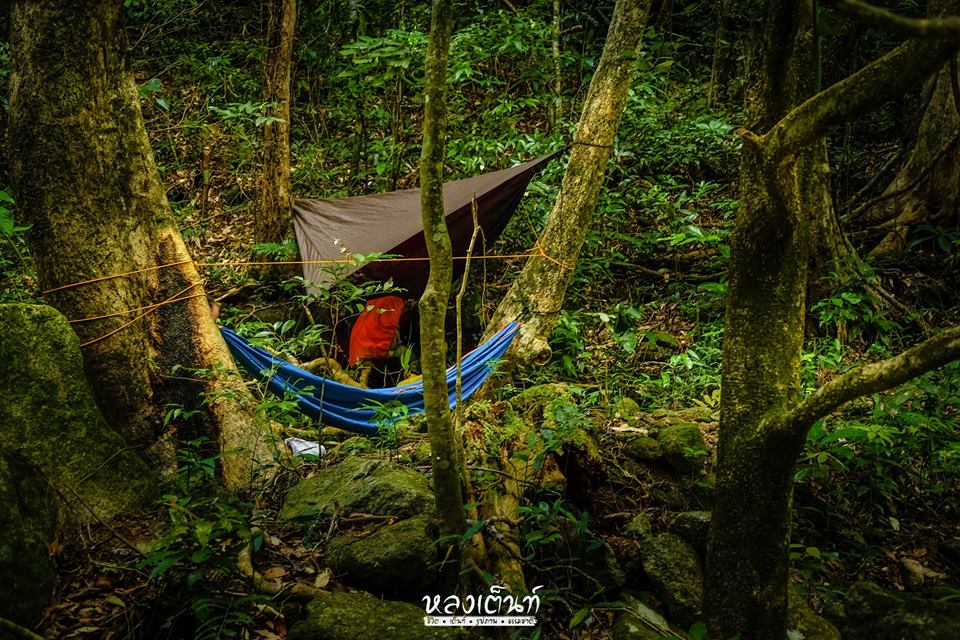 เปล Hennessy Hammock หลงเต้นท์