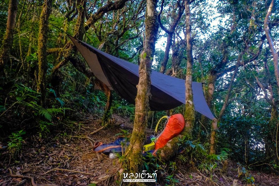 เปล Hennessy Hammock หลงเต้นท์