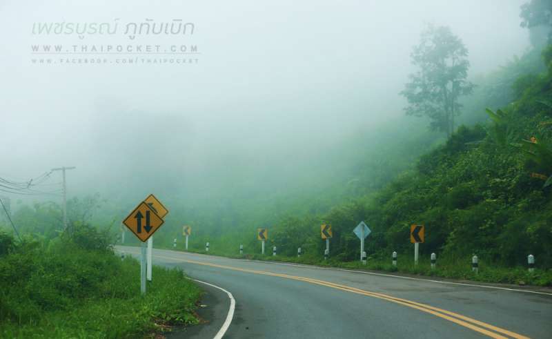 พาเที่ยว-ภูทับเบิก-ในเดือนสิงหาคม-ก็หนาวได้เหมือนๆกัน-ข้อมูลปี-2558