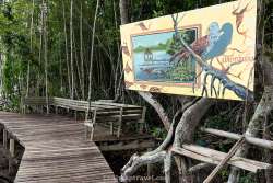 ศูนย์การท่องเที่ยวเชิงธรรมชาติ-หาดทรายดำและป่าชายเลน-ตราด