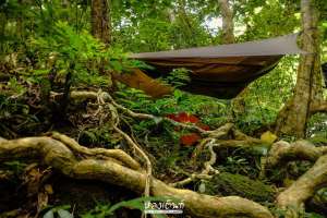 เปล-Hennessy-Hammock-หลงเต้นท์