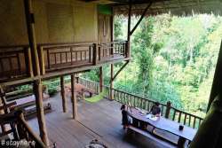 บ้านต้นไม้-แม่แมะ-จ.เชียงใหม่