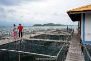 หน่วยสาธิตการเลี้ยงสัตว์น้ำภายในอ่าวอุ้งกระเบน-จันทบุรี