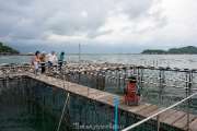 หน่วยสาธิตการเลี้ยงสัตว์น้ำภายในอ่าวอุ้งกระเบน-จันทบุรี