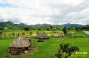 ปายฝน...ต้นหนาว-August-8-2012