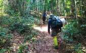 ทุ่งหญ้าเหลืองทองที่-ทุ่งเขาแหลม-ณ.อุทยานแห่งชาติเขาใหญ่