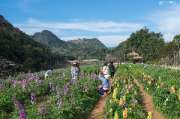 เที่ยวเชียงใหม่-4-วัน-3-ดอย-อ่างขาง-–-อินทนนท์-ดอยสุเทพ-แว้น-มอเตอร์ไซค์