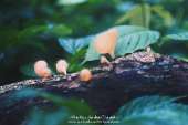 ทริปเน้นเดินที่-"น้ำตกเขาแคบ"-จังหวัดสระบุรี-ปี-2559