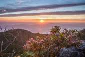 ดอยหลวงเชียงดาว-ภาพที่อยากให้คุณไปเห็นด้วยตาตัวเอง
