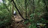 เดินป่าที่สระบุรี-นอนริมลำธาร-ที่คลองผักหนาม-2017-ทริปง่ายๆแค่อยากนอนฟังเสียงฝน