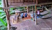 บ้านต้นไม้-แม่แมะ-จ.เชียงใหม่