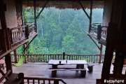 บ้านต้นไม้-แม่แมะ-จ.เชียงใหม่