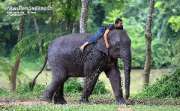 ที่พักท่ามกลางธรรมชาติ-พิษณุโลก-ทรัพย์ไพรวัลย์รีสอร์ท-พร้อมกิจกรรมมากมาย