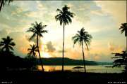 Koh-Kood-Island-Resort-เกาะกูด-ไอร์แลนด์-รีสอร์ท