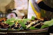 ทริปเที่ยวอ่างขางก่อนปีใหม่