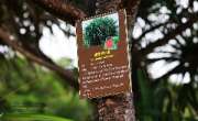 อุทยานแห่งชาติเขาแหลมหญ้า-หมู่เกาะเสม็ด-จังหวัดระยอง