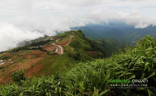 มาภูทับเบิก ต้องมาที่ภูแผงม้า รู้ยังมีจุดชมวิวสวยๆอีกที่หนึ่ง มาดูพระอาทิตย์ขึ้น-ตก