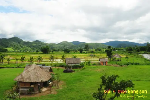 ปายฝน...ต้นหนาว (August 8, 2012)