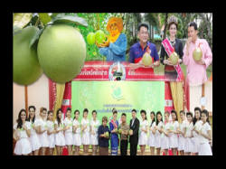 ข่าวที่ถูกเก็บไว้-ทั้งหมด-2554-2555-2556-2557-2558-»-มกราคม-2558-»-กุมภาพันธ์-2558-»-มีนาคม-2558-»-พฤษภาคม-2558-»-มิถุนายน-2558-»-กรกฎาคม-2558-»-สิงหาคม-2558-อลังการ...หนึ่งเดียวในเมืองไทย-งาน-"วันส้มโอขาวแตงกวา"-จังหวัดชัยนาท