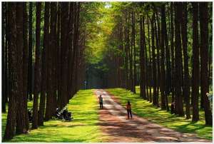เกาะนามิเมืองไทย-ไม่ต้องไปถึงเกาหลี