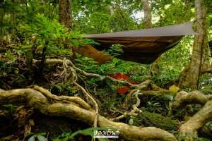 เปล-Hennessy-Hammock-หลงเต้นท์