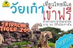 วัยเก๋า-60ปีขึ้นไปเชิญเที่ยวสวนเสือศรีราชาฟรี