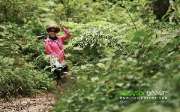 พาเที่ยว-ภูทับเบิก-ในเดือนสิงหาคม-ก็หนาวได้เหมือนๆกัน-ข้อมูลปี-2558