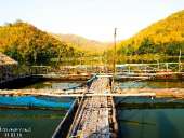 เก็บกระเป๋าไปสุพรรณบุรี-เพราะที่นี่เขาก็มีปางอุ๋ง-ณ-อ่างเก็บน้ำเขาวง
