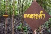 ศูนย์การท่องเที่ยวเชิงธรรมชาติ-หาดทรายดำและป่าชายเลน-ตราด