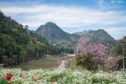 เที่ยวเชียงใหม่-4-วัน-3-ดอย-อ่างขาง-–-อินทนนท์-ดอยสุเทพ-แว้น-มอเตอร์ไซค์
