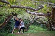 เที่ยวเชียงใหม่-4-วัน-3-ดอย-อ่างขาง-–-อินทนนท์-ดอยสุเทพ-แว้น-มอเตอร์ไซค์