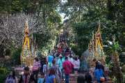 เที่ยวเชียงใหม่-4-วัน-3-ดอย-อ่างขาง-–-อินทนนท์-ดอยสุเทพ-แว้น-มอเตอร์ไซค์
