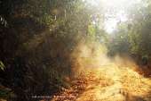 อุทยานแห่งชาติพุเตย-หน่วยพิทักษ์อุทยานแห่งชาติที่-3-ตะเพินคี่-จ.สุพรรณบุรี