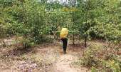 ทริป-ลานหินดาด-เขาสมอปูน-ประสบการณ์ใหม่กับยุงนับร้อย