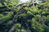 ทริปเน้นเดินที่-"น้ำตกเขาแคบ"-จังหวัดสระบุรี-ปี-2559