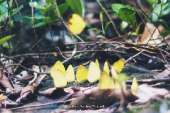 ทริปเน้นเดินที่-"น้ำตกเขาแคบ"-จังหวัดสระบุรี-ปี-2559