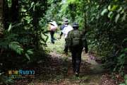เที่ยวน้ำตกตาดหินยาว-ปราจีนบุรี-หลีผีเมืองไทย
