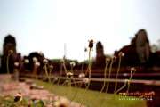 เที่ยวเมืองอยุธยา-ไหว้พระ-9-วัด