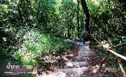 น้ำตกผาดอกเสี้ยว-เที่ยวเที่ยวง่ายๆกับน้ำตกสวยๆ-ดอยอินทนนท์-ตามรอยหนังไทย-รักจัง!-จ.เชียงใหม่