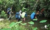 เดินป่าที่สระบุรี-นอนริมลำธาร-ที่คลองผักหนาม-2017-ทริปง่ายๆแค่อยากนอนฟังเสียงฝน