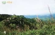 เดินป่า-ช่อใหญ่..-ณ.เขาช่อ-สระบุรี-ใกล้ๆนี่เอง-กับวิวทิวเขาสวยๆ