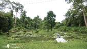 อุทยานแห่งชาติรามคำแหง-อช.รามคำแหง-เขาหลวงสุโขทัย