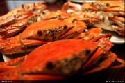 Koh-Kood-Island-Resort-เกาะกูด-ไอร์แลนด์-รีสอร์ท