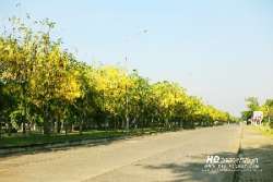 ถนนดอกคูณ-พิพิธภัณฑ์วิทยาศาสตร์-คลอง-5-ธัญบุรี