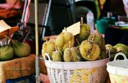 ตลาดกลางผลไม้เพื่อการเกษตรตะพง-จังหวัดระยอง